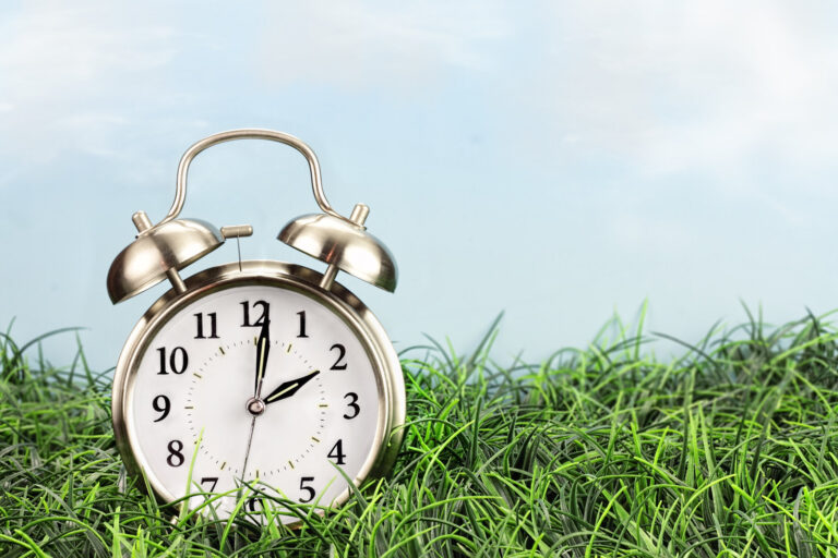 An alarm clock set at 2am in a field during bright sunlight.