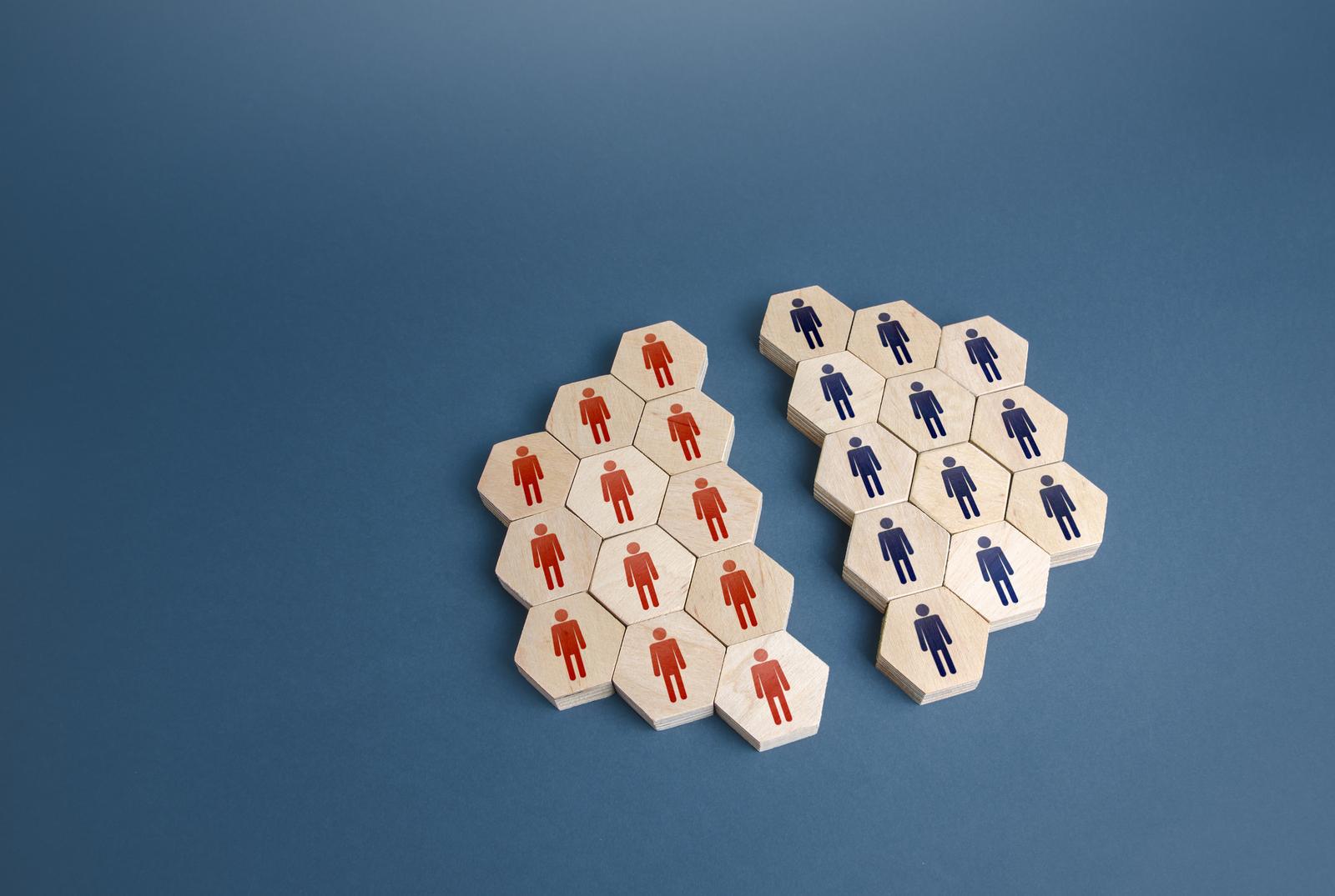 Wooden counters with male and female symbols separated to show division